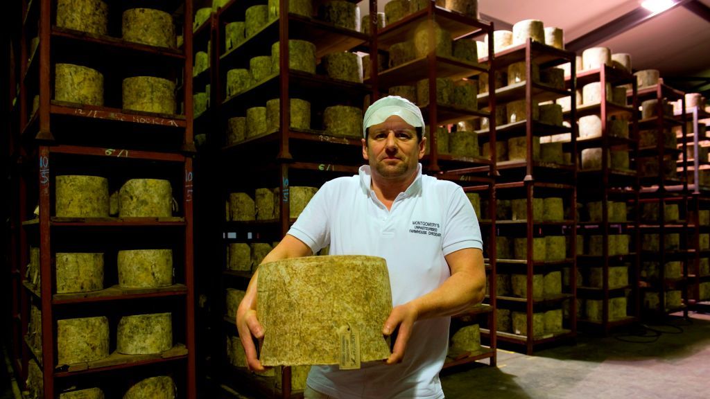 Chedar cheese storage. Montgomery Cheddar. Manor Farm. Yeovil. Somerset. England. United Kingdom. Europe
Chedar cheese storage. Montgomery Cheddar. Manor Farm. Yeovil. Somerset. England. United Kingdom. Europe. (Photo by: Michele Bella/REDA&CO/Universal Images Group via Getty Images)
REDA&CO
chedar cheese storage, manor farm, montgomery cheddar, somerset, united kingdom