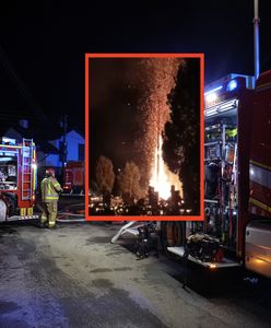 Eksplozja znicza w Koninie. Świadkowie w szoku