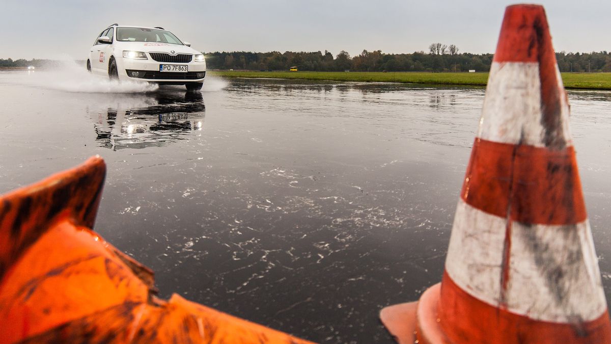 Zdjęcie ilustracyjne do artykułu