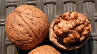 Ile orzechów możesz zjeść w ciągu dnia? Mało kto się nad tym zastanawia, a to bardzo ważne