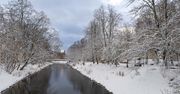 Arktyczny mróz ścina Polskę. Termometry wskażą nawet -16 stopni