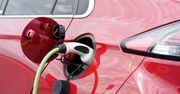 Gdzie ładujemy auta elektryczne? Znana marka ujawnia dane
