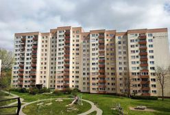 Plaga pseudopośredników. Tak Polacy przepłacają za mieszkania