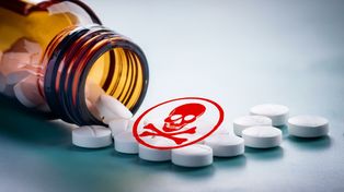 Grójec: Ujawniono narkotyki podczas wizyty w ramach Niebieskiej Karty