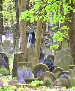 Zabrze. Winni dewastacji żydowskiego cmentarza zatrzymani