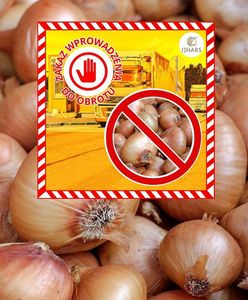 Komunikat inspekcji. 21 ton cebuli nie trafi do sklepów