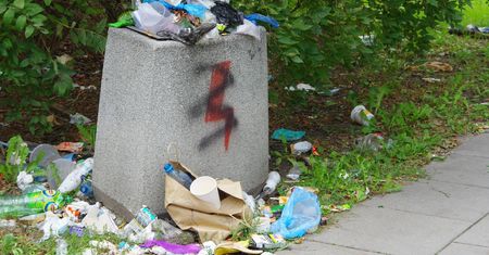 Nigdy nie wyrzucaj do kosza na ulicy. Zapłacisz wysoką karę