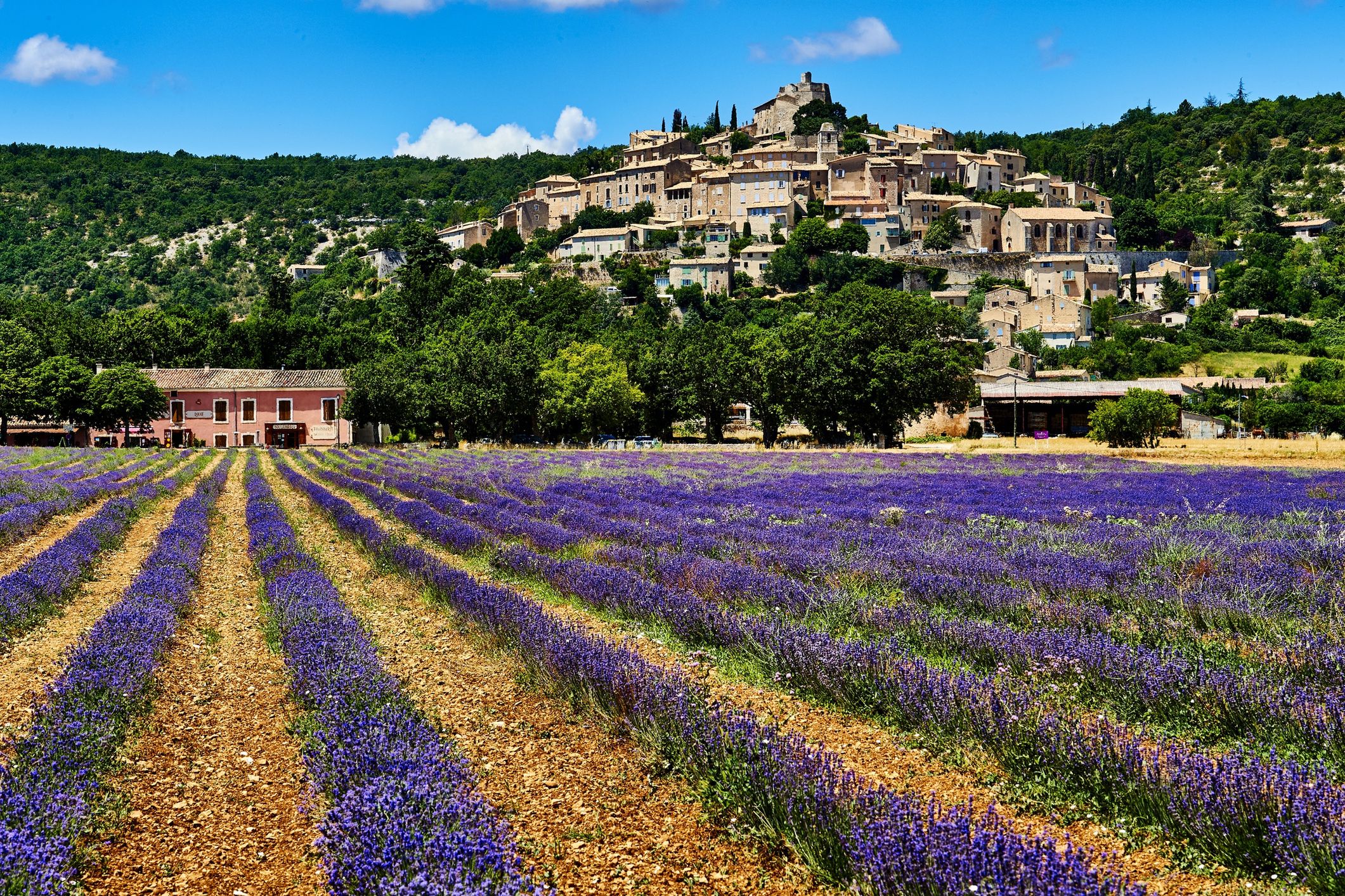 Luberon