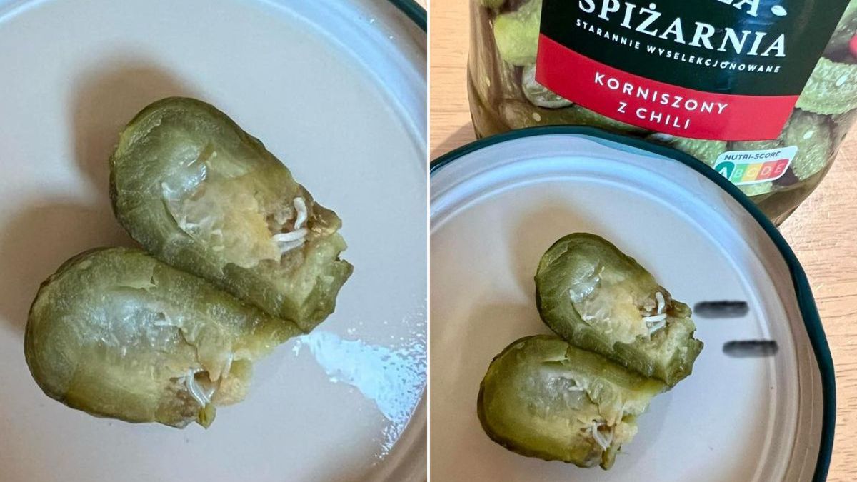 Larwy w ogórkach - Pyszności