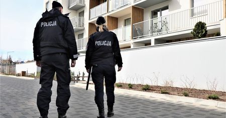 Jelenia Góra. Rzucał kotem o asfalt i znaki drogowe, aż zwierzę zmarło. Został zatrzymany