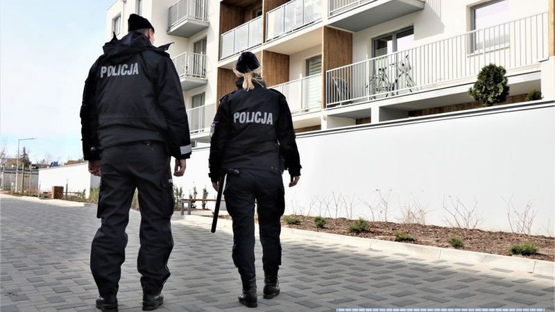 Jelenia Góra. Rzucał kotem o asfalt i znaki drogowe, aż zwierzę zmarło. Został zatrzymany