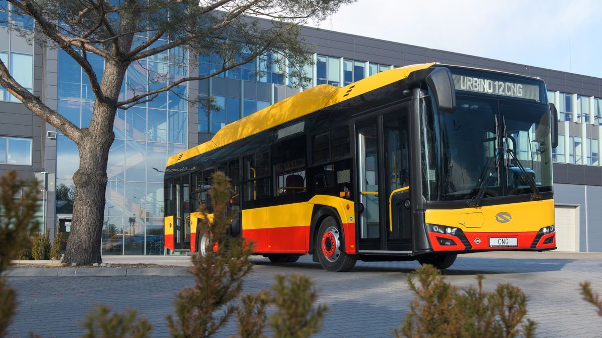 Urbino 12 to popularny model w Europie.