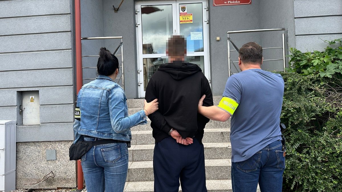 Zatrzymanie w powiecie płońskim 