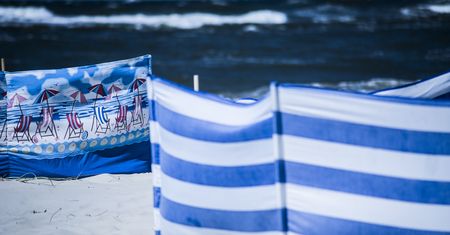 Nad Bałtykiem to plaga. Nie wiedzą, że mogą dostać mandat