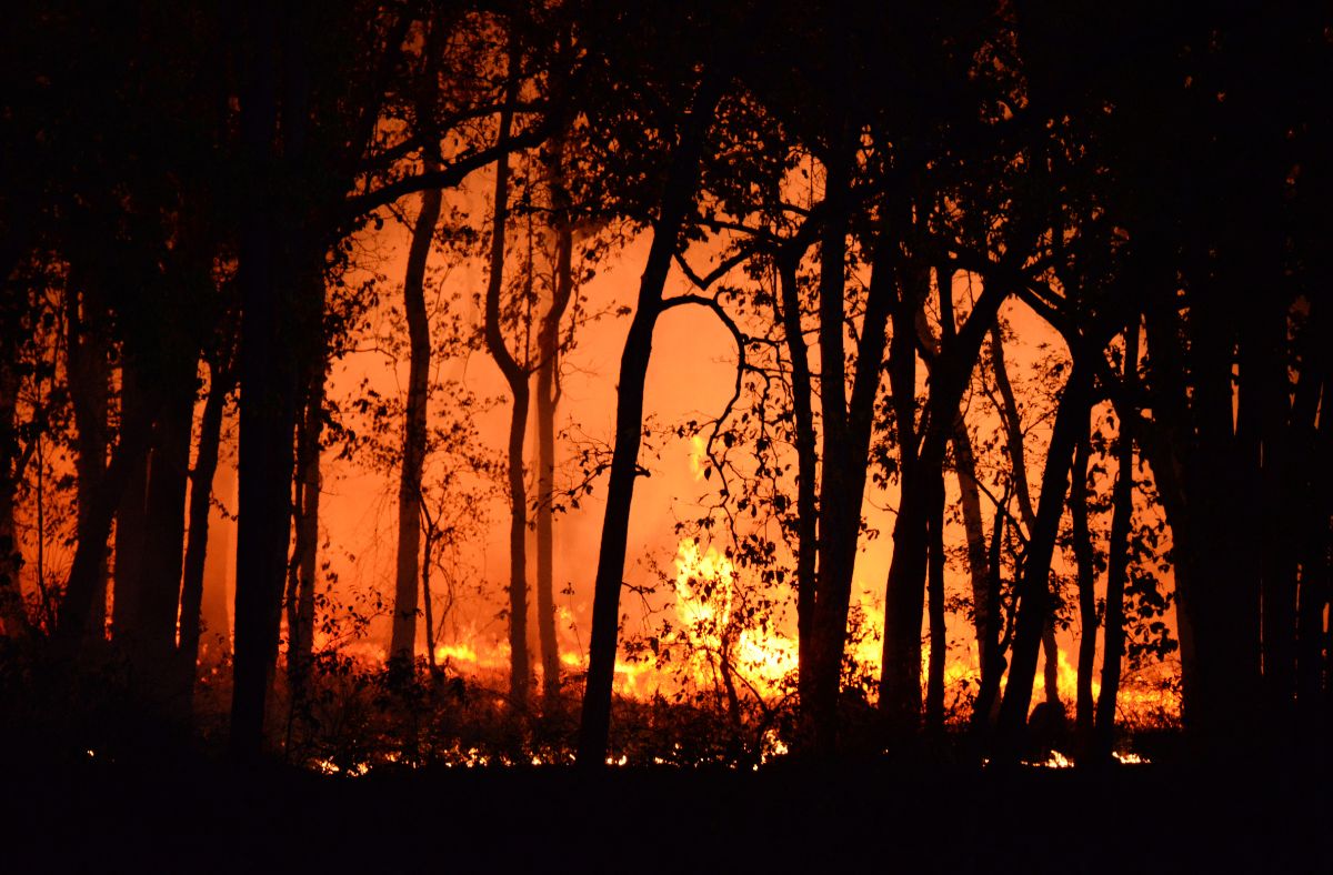 Dangerous fires are troubling the United States.