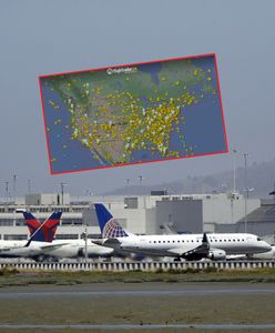 USA. Wstrzymano wszystkie odloty w kraju, Biały Dom reaguje