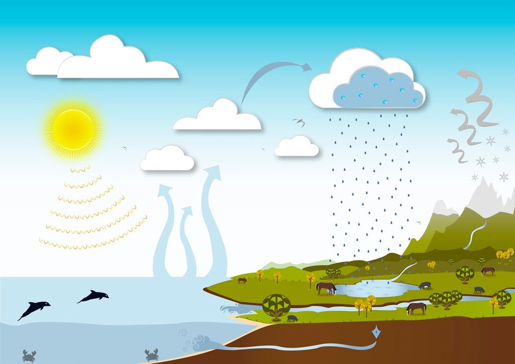 Cykl hydrologiczny - na czym polega?