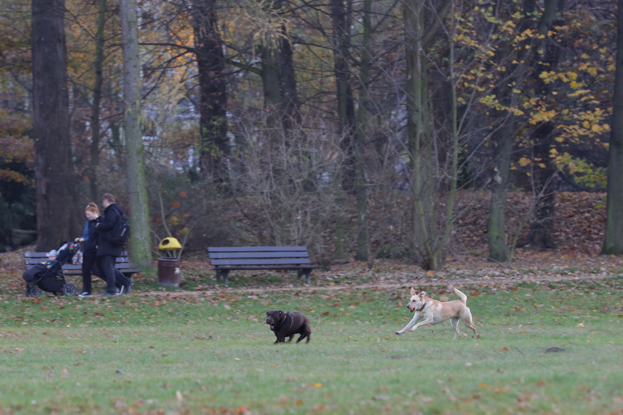 Canon EF 70-200 mm f/2.8L IS III USM - odświeżona wersja świetnego obiektywu [test] 39