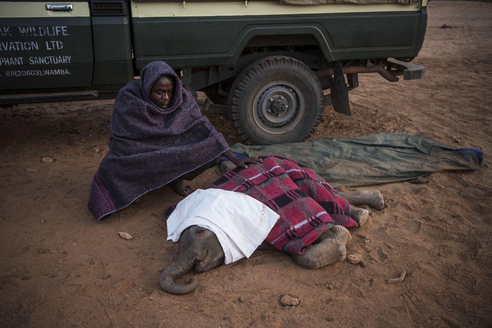 Znamy zwycięzcę World Press Photo 2018. Ronaldo Schemidt został Fotografem Roku 39