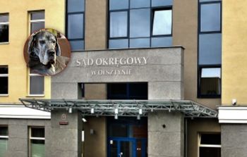 Tragiczna śmierć Natalki pod Olsztynem. Mamy głos z sądu