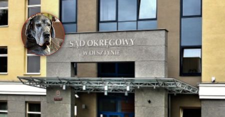 Tragiczna śmierć Natalki pod Olsztynem. Mamy głos z sądu