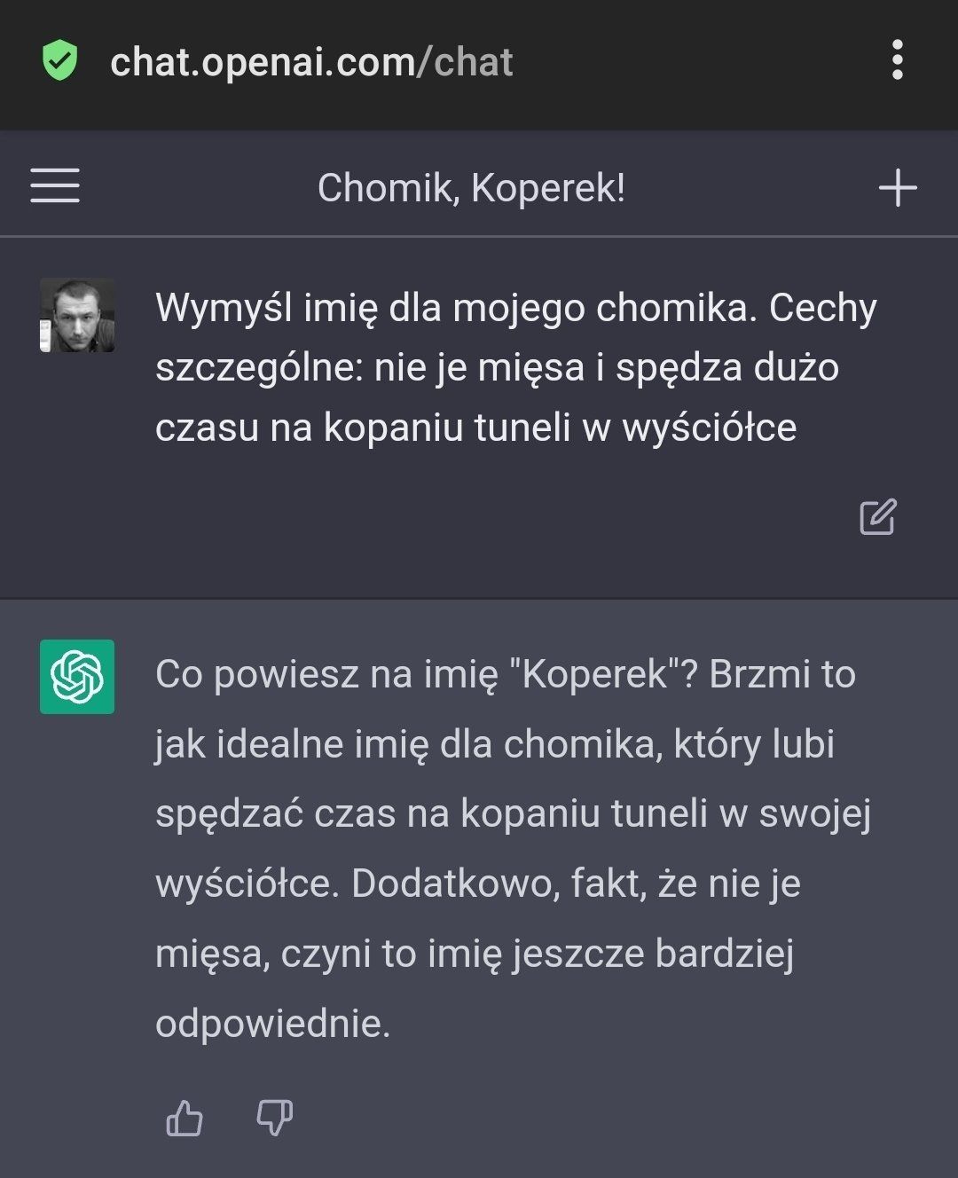 ChatGPT w akcji