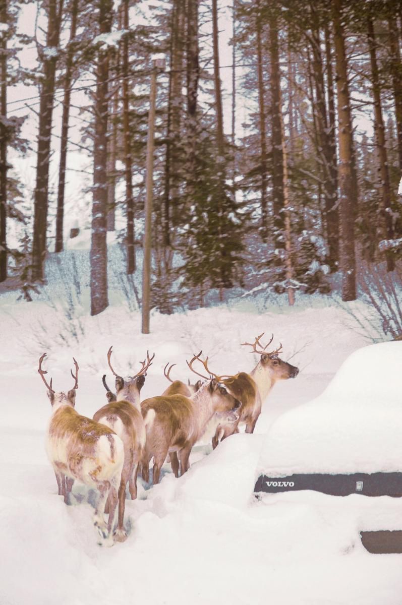 &quot;My znaleźliśmy tutaj dom, ale jesteśmy na terenie kogoś innego&quot;