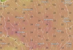 Letnia fanaberia w kwietniu. Rekordowe temperatury o tej porze roku