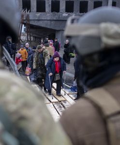 Ukraiński wywiad: Putin planuje wyrąb lasów na okupowanych terenach