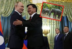 Ogromny prezent dla Putina. Stwierdził, że mu się przyda