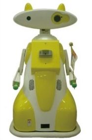 Robot opiekunka, czyli kolejny cwany robot pomaga ludziom w Japonii 1