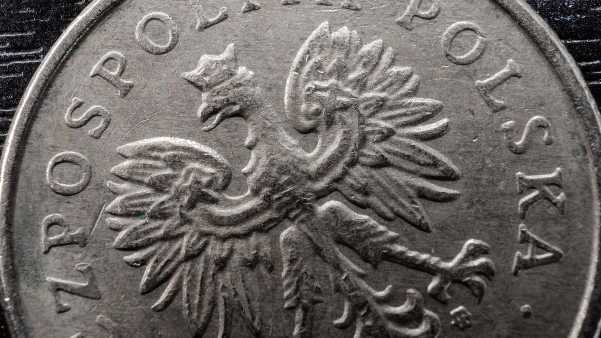 Złoty reaguje na słowa prof. Glapińskiego.