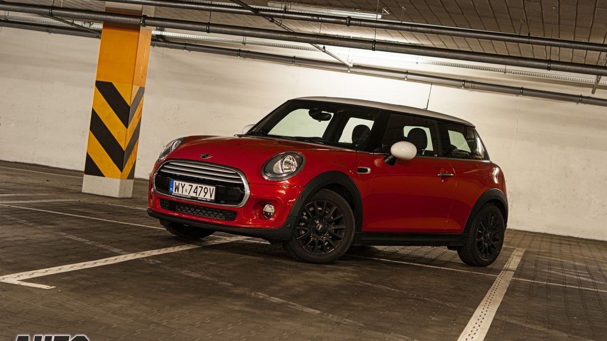 Zdjęcie ilustracyjne do artykułu