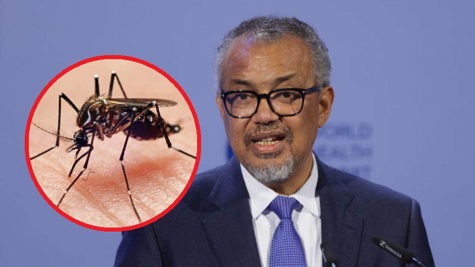 Światowa Organizacja Zdrowia już w sierpniu ostrzegała przed wirusem dengi, umieszczając go na liście 30 alarmowych patogenów, które mogą wywołać kolejną pandemię