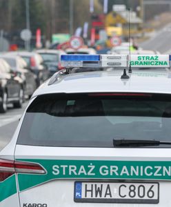 Polska wzmacnia kontrole graniczne. Tusk wskazał, skąd jest zagrożenie pryszczycą