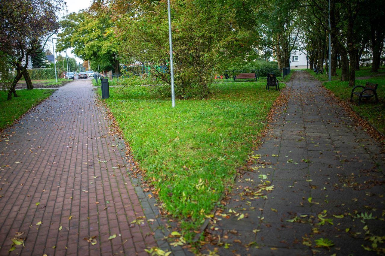 Słupsk: Park im. Ireny Sendlerowej nabiera nowych kształtów
