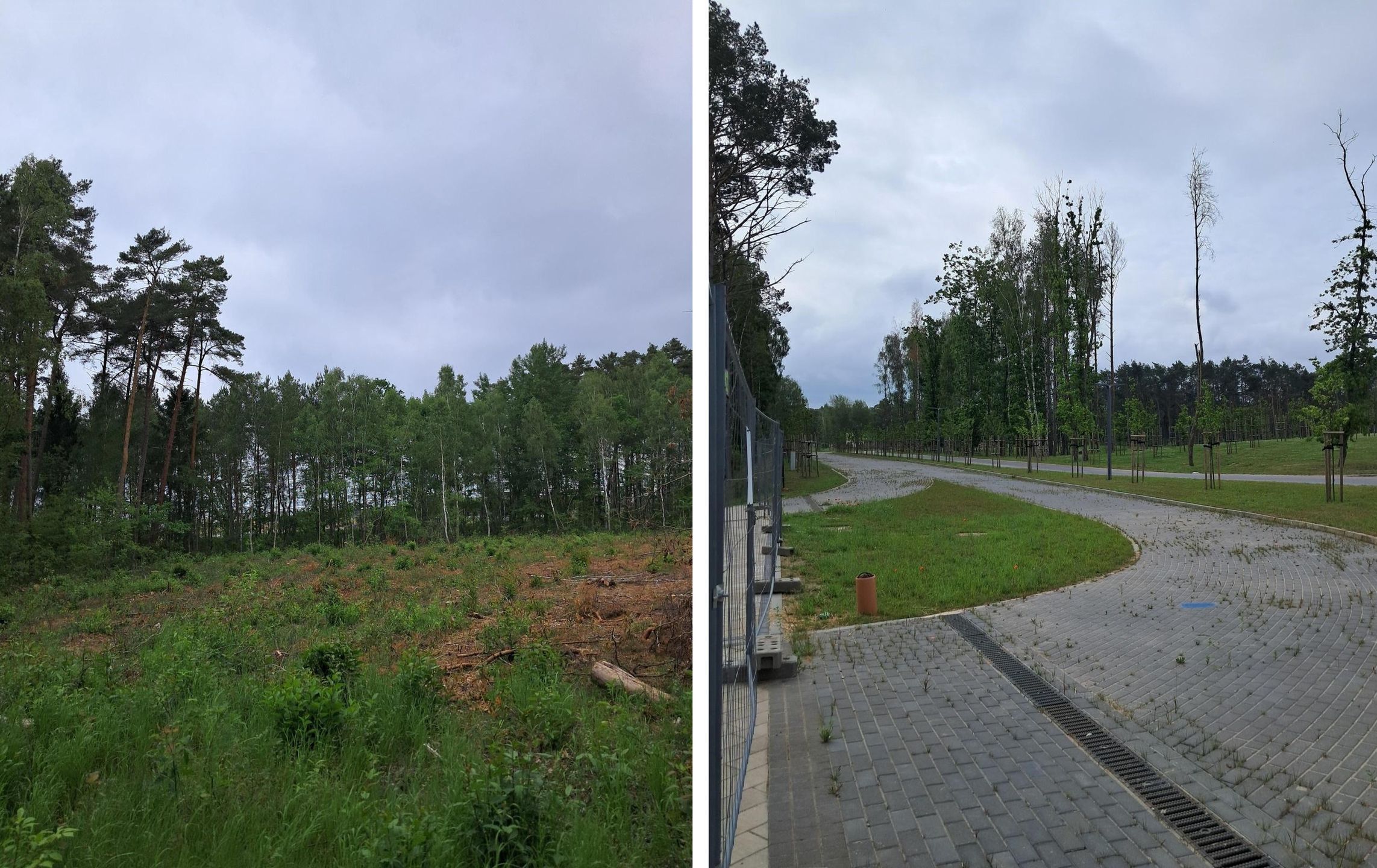 Okolica Hotelu Gołębiewski w Pobierowie 