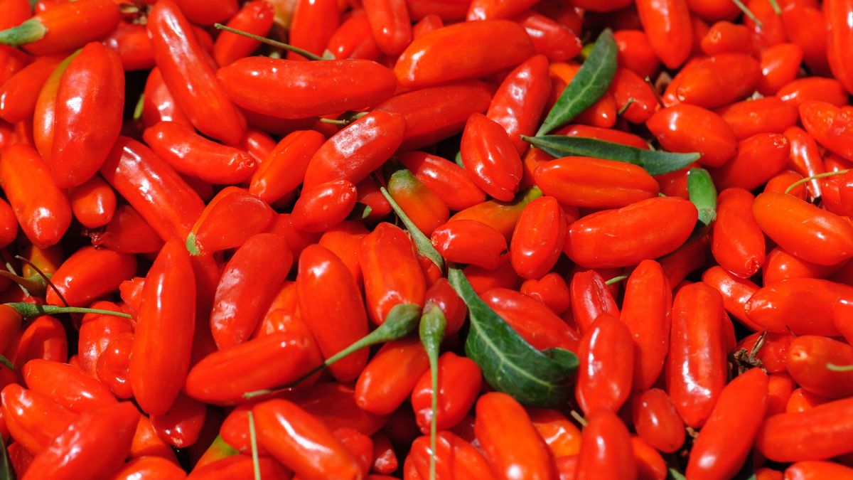 Goji berry fruits and plants in sunshine field
Goji berry fruits and plants in sunshine field
lzf