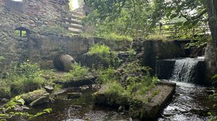 Suwalski Park Krajobrazowy: Wkrótce powstanie Centrum Bioróżnorodności