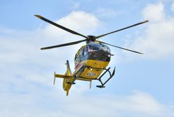 Dramat na pikniku. Wichura porwała dziecko