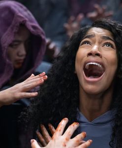 Netflix kasuje serial po jednym sezonie. Krytycy byli nim zachwyceni