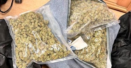 Upolowano 30 kilogramów narkotyków! Znamy szczegóły akcji