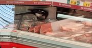 Tego jeszcze nie było! Sroka wleciała do sklepu Auchan