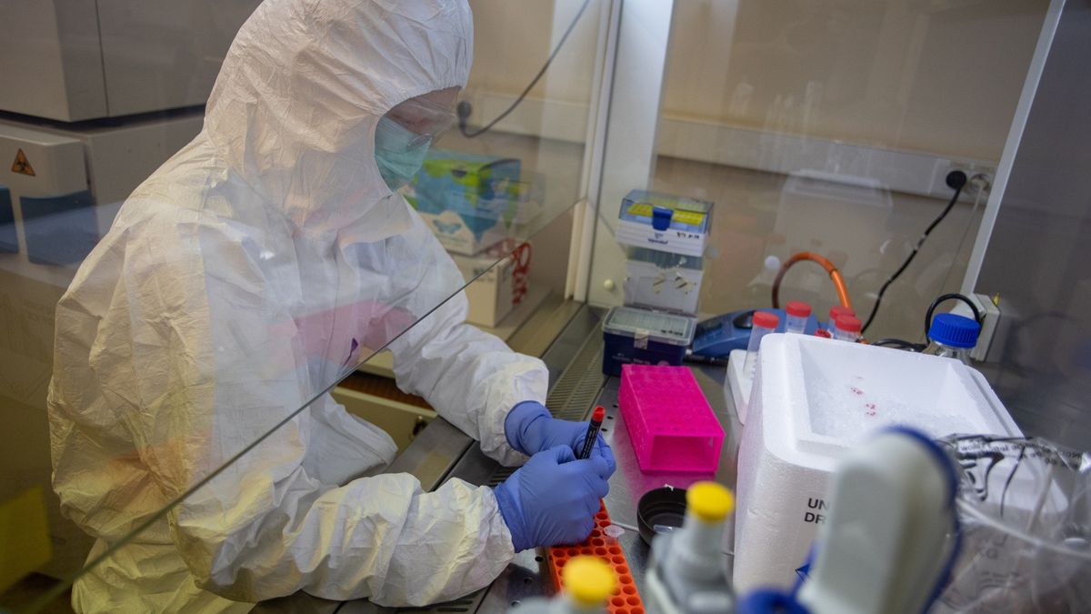 Koronawirus. Wysiłki naukowców z Poznania przyniosły efekty.