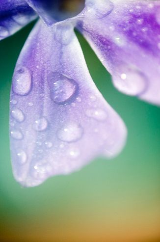 Freelensing, czyli efekt lewitującego obiektywu [GALERIA] 7