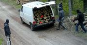 Kradzież drewna w kominiarkach pod Ostródą