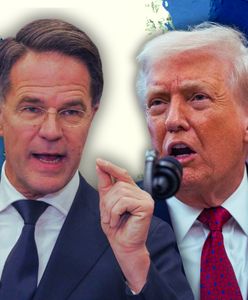 Awantura wokół Grenlandii. NATO zabiera głos