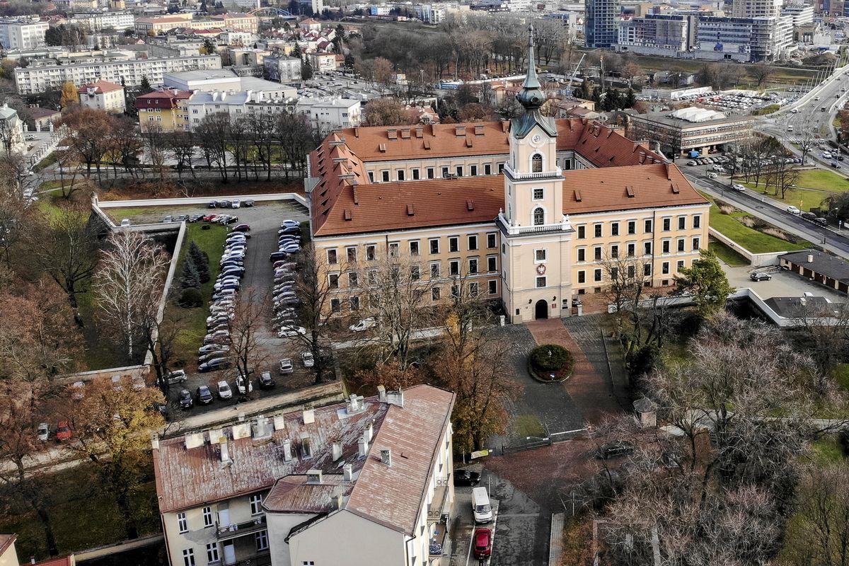 Plaga szczurów w centrum Rzeszowa