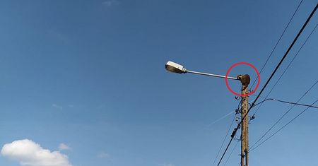 Zdjęcie z Polski. Niecodzienny widok na ulicznej latarni