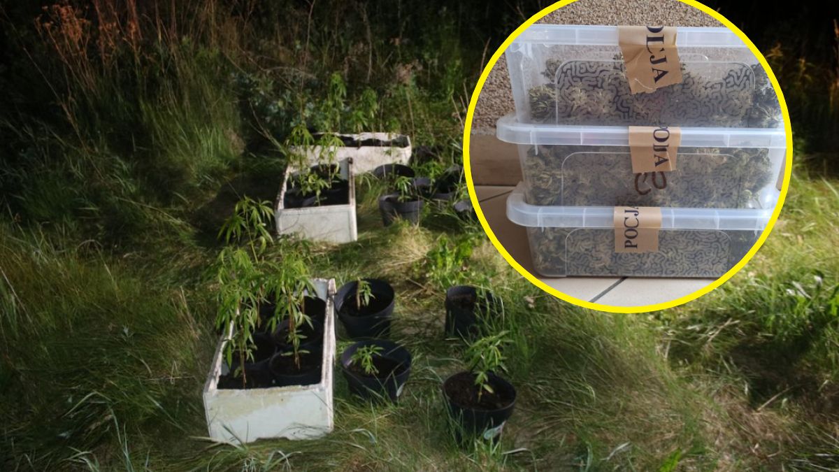 Ojciec i syn prowadzili nielegalny biznes